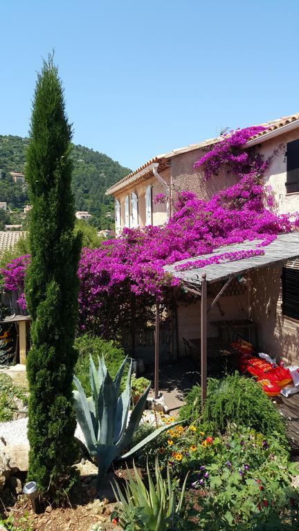 Hébergement de vacances Le Mas Du Pic Des Fées Hyères